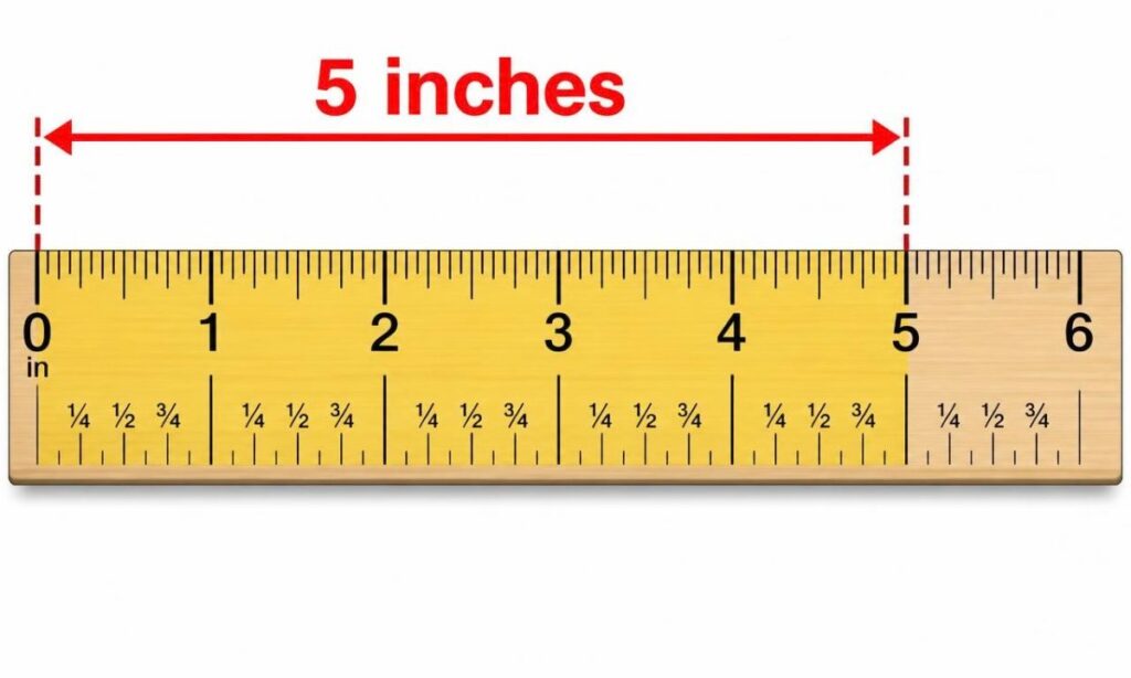 how-long-is-5-inches-on-a-ruler